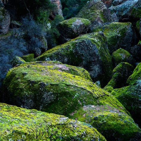 Mossy Boulders Clog Canyon Stock Photo Image Of Pinnacles 161444082