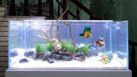 How To Make Simple Aquascape In Living Room Diy Aquarium Fish Tank