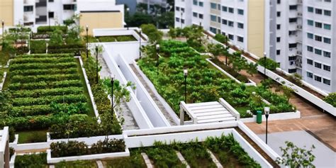 Seven Urban Farming Sites At Hdb Rooftops Awarded Property Market