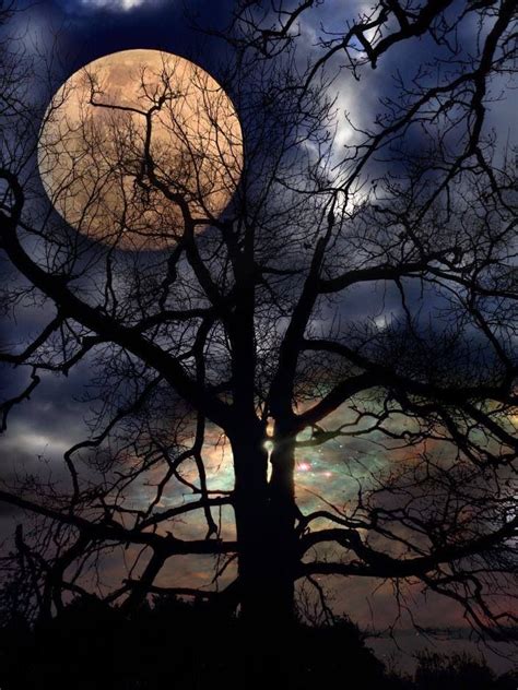 Lavender Moon Moon Photography Beautiful Moon Moon Art