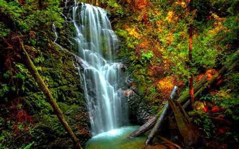 Berry Creek Falls Oregon Coast Range Oregon Waterfalls Pinterest