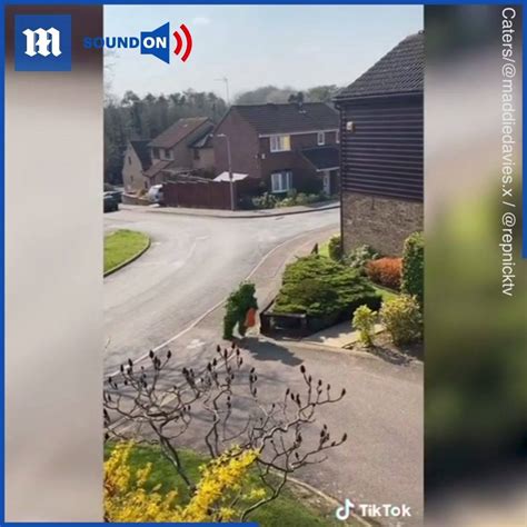 Neighbor Caught On Camera Escaping Lockdown Dressed As A Bush Has This Gone Too Far Now 🤦😂