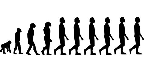Economist Suggests Humans Are Still Evolving