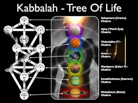 The tree of life is a diagram used in various mystical traditions. WOEIH 42 Kabbalah and the Tree Of Life w/ Mark Passio ...