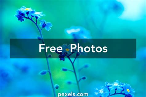 1000 Engaging Photos · Pexels · Free Stock Photos