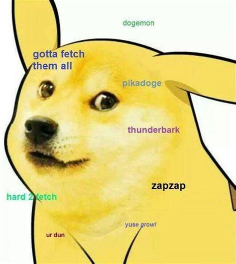 Image 595066 Doge Know Your Meme