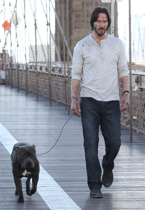 Keanu charles reeves is a canadian actor. Keanu Reeves not sad and with a dog on the set of John ...