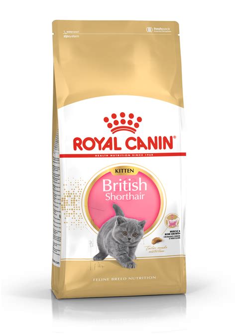 Royal Canin British Shorthair Kitten Kuivtoit Dry