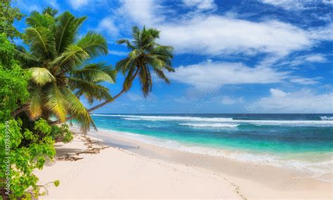 Paradise Sunny Beach With Palms And Turquoise Sea Summer Vacation And