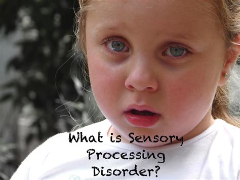 What Is Sensory Processing Disorder 1 Old Vision Play