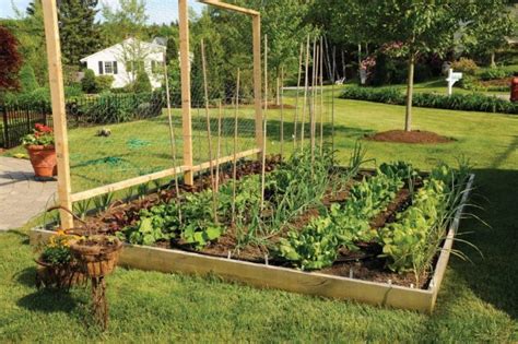 10 Summer Vegetable Gardens For Summer Fresh Salad Top