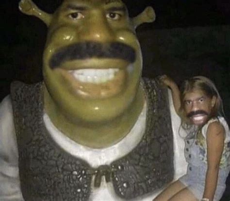 𝐌𝐄𝐌𝐄𝐒 𝐓𝐎 𝐔𝐒𝐄 𝐈𝐍 𝐀 𝐂𝐎𝐍𝐕𝐄𝐑𝐒𝐀𝐓𝐈𝐎𝐍 Really Funny Pictures Shrek Funny