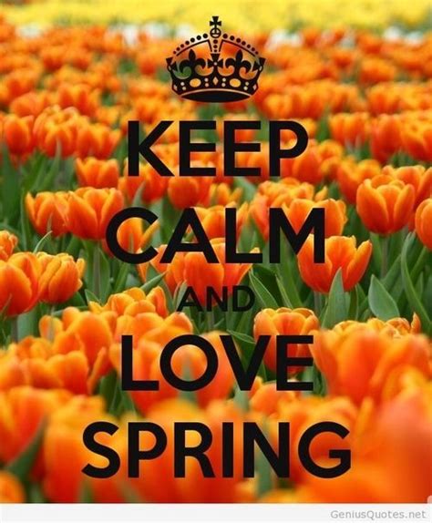 Keep Calm And Love Spring Pictures Photos And Images For Facebook