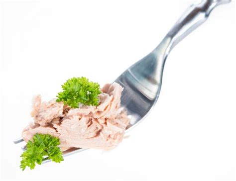 Is Tuna Can Food Good For Your Health Tuna Canned