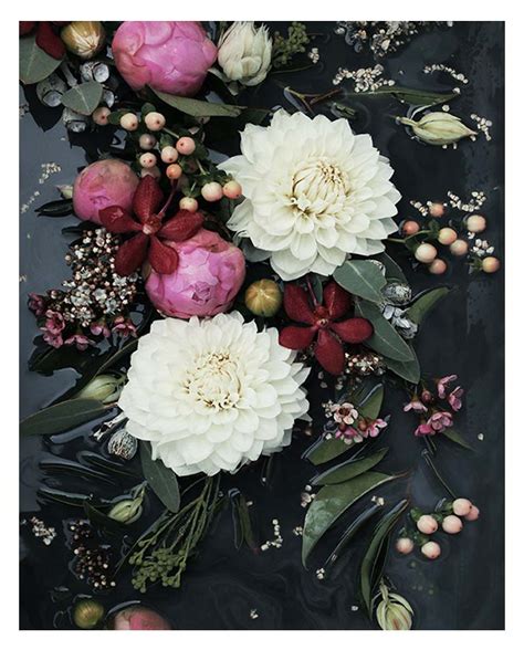 Black White Flower Art Print - Black White Flower Photo Wall Art Modern