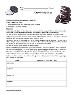 To visualize different phases of mitosis. Oreo Mitosis Student Worksheet Balling | Biology lessons ...