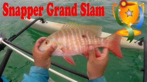Mutton Snapper Rigs Snapper Grand Slam Lane Mutton Yellowtail And