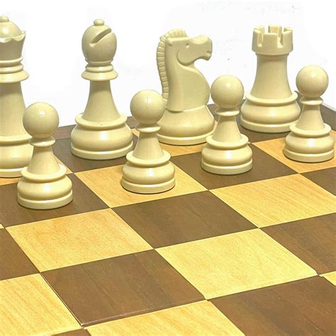 Dgt Chess Set Starter Box Set Shopee Philippines