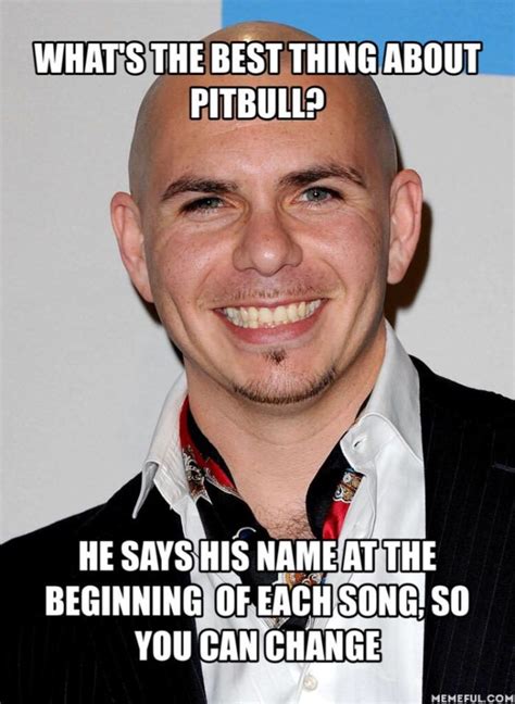 Pin On Pitbull Mr 305 Mr Worldwide