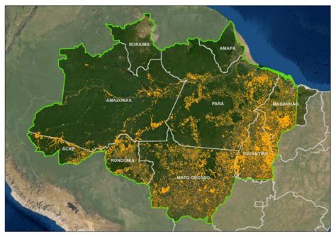 Quase 30 De Queimadas Da Amazônia Legal Aconteceram No Estado Do Mato