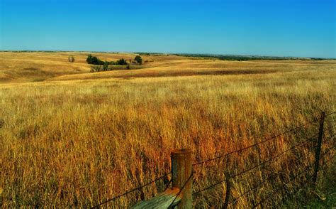 Free Images Landscape Horizon Marsh Wilderness Sky Field Meadow