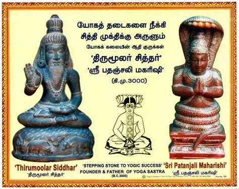 Thirumoolar Siddhar And Pathanjali Siddhar Father Of Yoga Sasthra ~ All