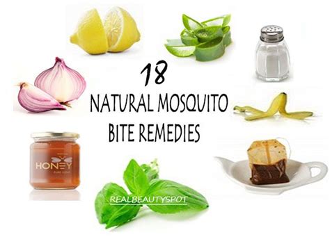 remedies for mosquito bites natural mosquito bite remedy bug bites remedies