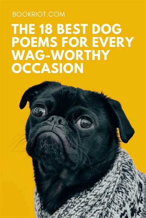 The 18 Best Dog Poems For Every Wag Worthy Occasion Book Riot