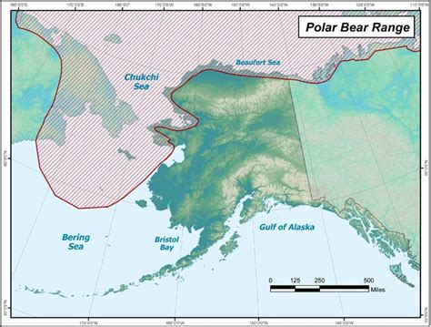 Polar Bear Range Map Alaska Department Of Fish And Game