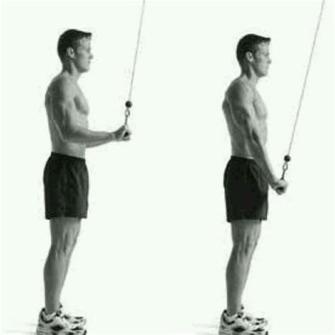 Cable Triceps Pushdown Exercise How To Workout Trainer By Skimble