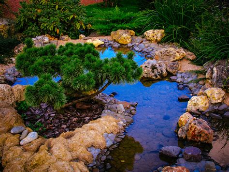 Backyard landscaping ideas that include small ponds can be the great inspirations for your own garden designs. 35 Backyard Pond Images (GREAT Landscaping Ideas)