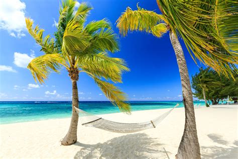 Photo Screensaver Beach Palm Trees