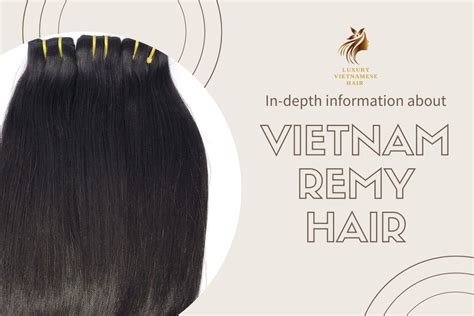 In Depth Information About Vietnam Remy Hair You Can Not Miss