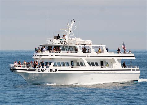 The steamship authority is the largest ferry service offering daily fares from cape cod to neighboring islands nantucket and martha's vineyard off the coast of massachusetts, according to the company's website. Cape Cod Ferries - Cape Cod Massachusetts Ferry