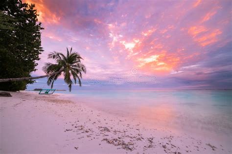 Tranquil Beach Sunset Scene Exotic Tropical Beach Landscape For