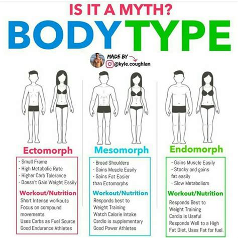 Comment Your Body Type Below 👇 Body Type Workout Body Types Endomorph Body Type Endomorph