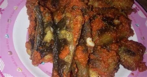 Khususnya ikan lele, tak sedikit dari pemancing mania yang salah saat membuat umpan lele, baik umpan alami maupun buatan dengan bahan campur pelet. 761 resep sambal ikan goreng enak dan sederhana - Cookpad