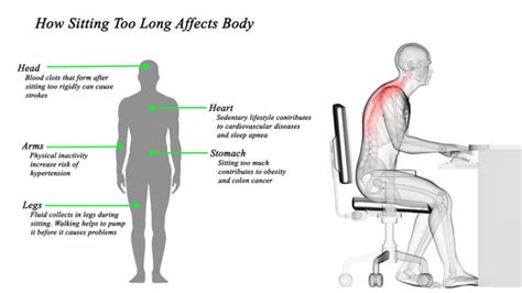 Science Reveals What Sitting Too Long Does To Your Body Womenworking