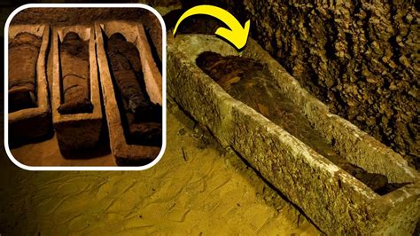 Archaeologists Have Found A Tomb In Egypt With 50 Million Year Old Mummies Hidden Inside