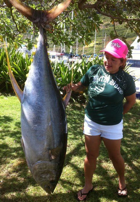 C Lure Fishing Chaters Kauai Hawaii Kauai Fishing Yellowfin Tuna