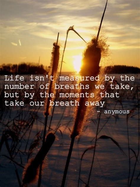 See more ideas about words, inspirational quotes, me quotes. life isn't about the breaths you take it's about the moments that take your breath away ...