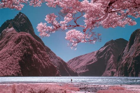 Dreamy Photos Of New Zealand In Pink Captured With Infrared Camera