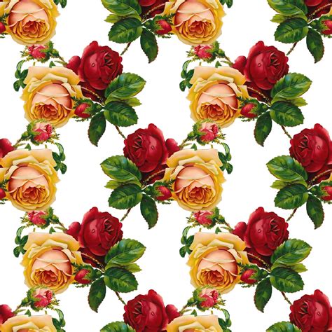 Roses Background Wallpaper Vintage Free Stock Photo Public Domain