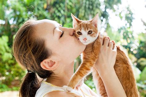 Check spelling or type a new query. Can My Cat Catch A Cold From Humans? - Love and Kisses Pet ...