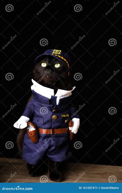 Black Cat Dressed As A Police Officer Against A Black Background Stock Image Image Of Jail