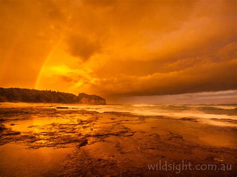 Sunset Rainbow Berrara Beach Wild Sight