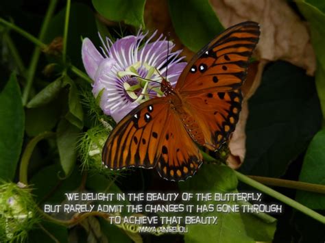 With goldie hawn, edward albert, eileen heckart, paul michael glaser. Flowers And Butterflies Quotes. QuotesGram