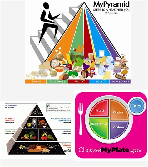What Is The Importance Of Food Pyramid For Kids And Teens Momjunction