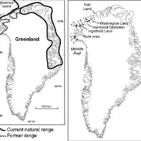 A Modern Natural And Former Range Of Musk Ox In Greenland And Adjacent