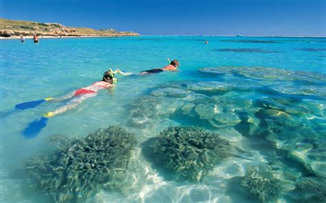 Découvrez Le Ningaloo Reef Avec Lagence Locale Terra Australia